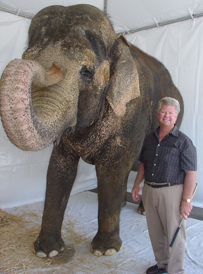 Tai the Elephant and trainer Gary Johnson